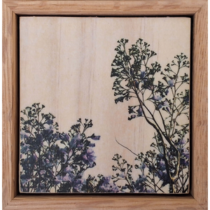 Seeing Through the Trees 9