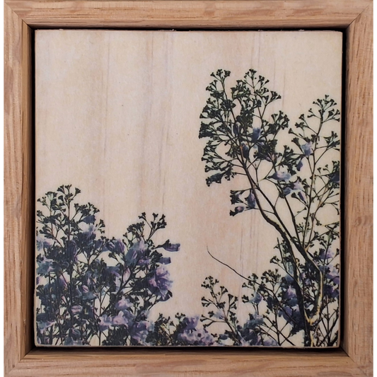 Seeing Through the Trees 9