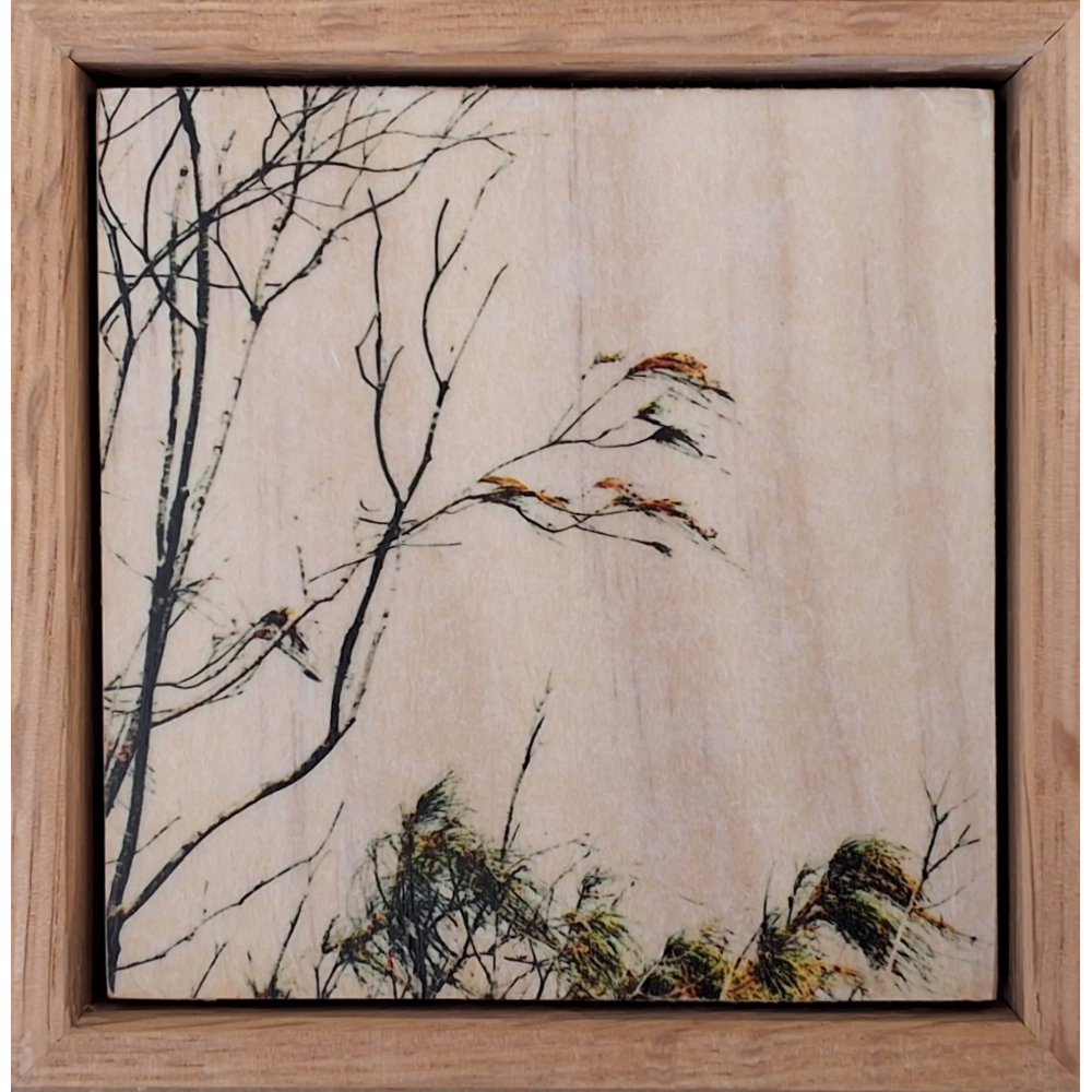 Seeing Through the Trees 10