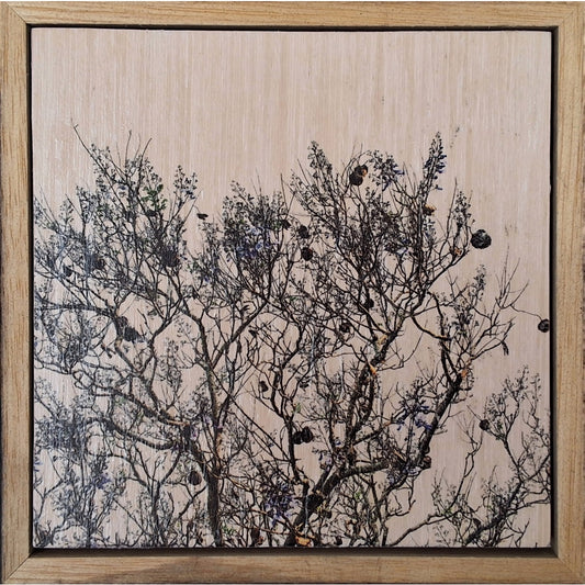 Seeing Through the Trees 11