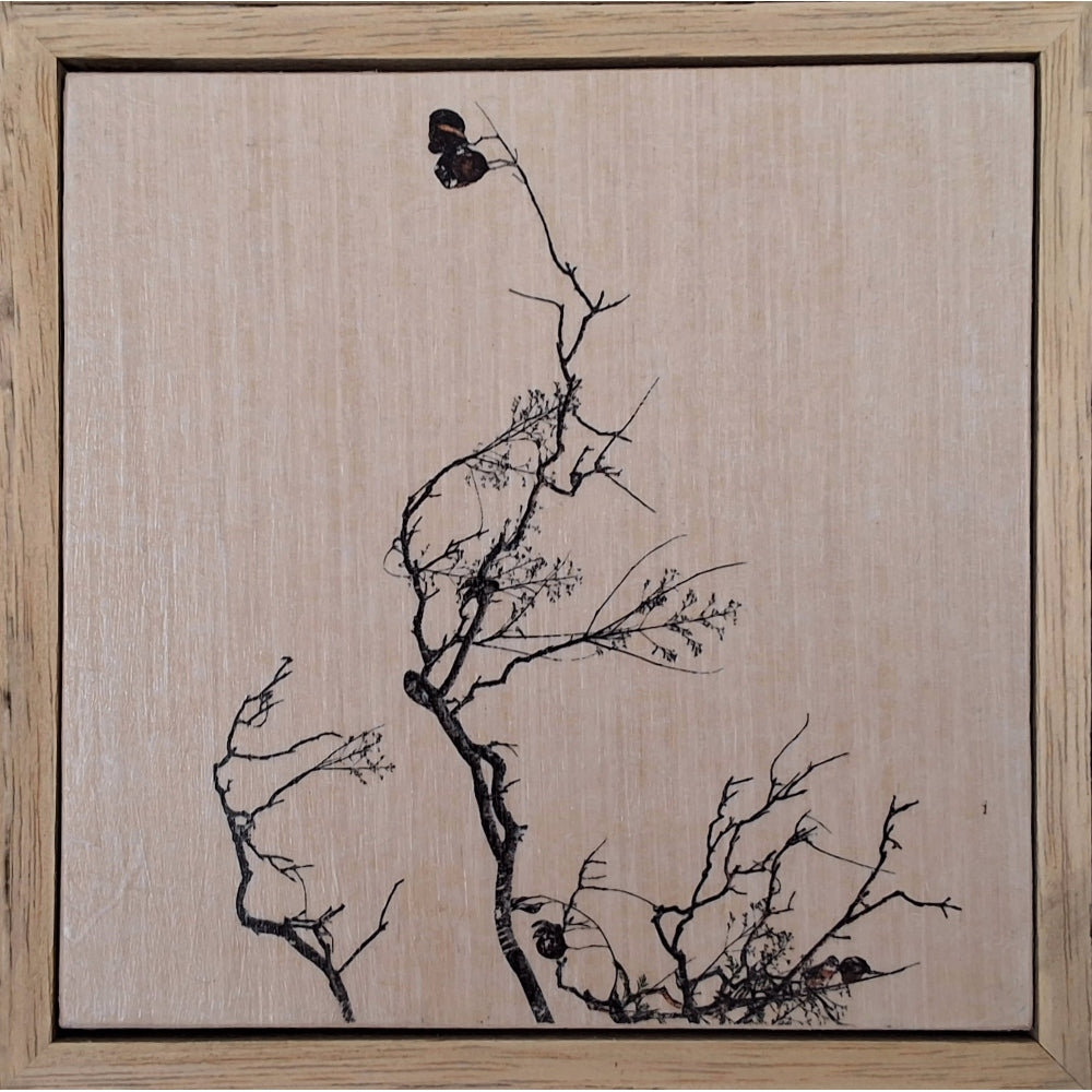 Seeing Through the Trees 12