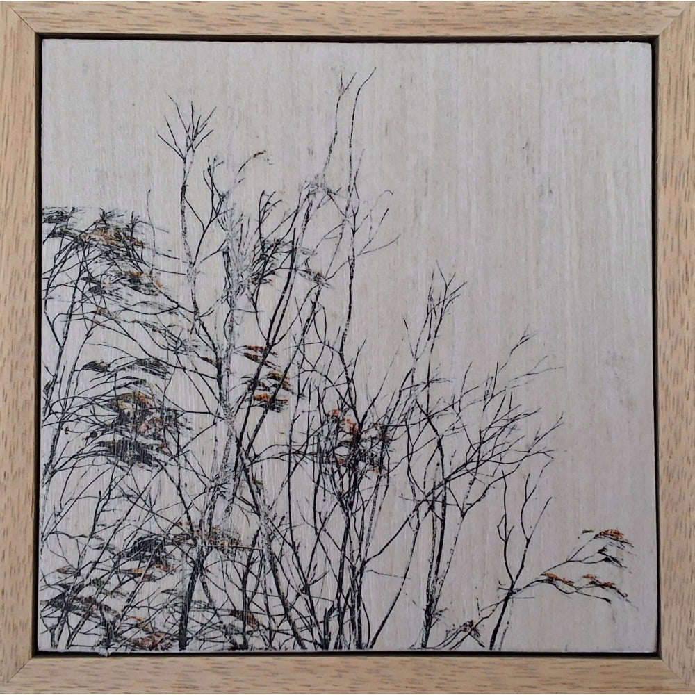 Seeing Through the Trees 13