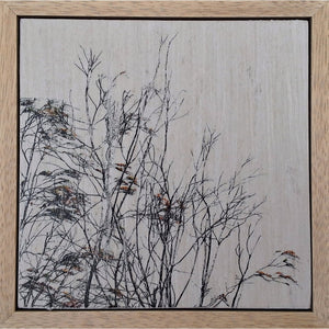 Seeing Through the Trees 13