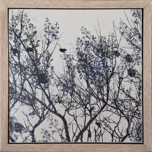 Seeing Through the Trees 14