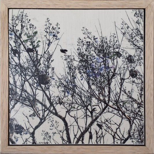 Seeing Through the Trees 14