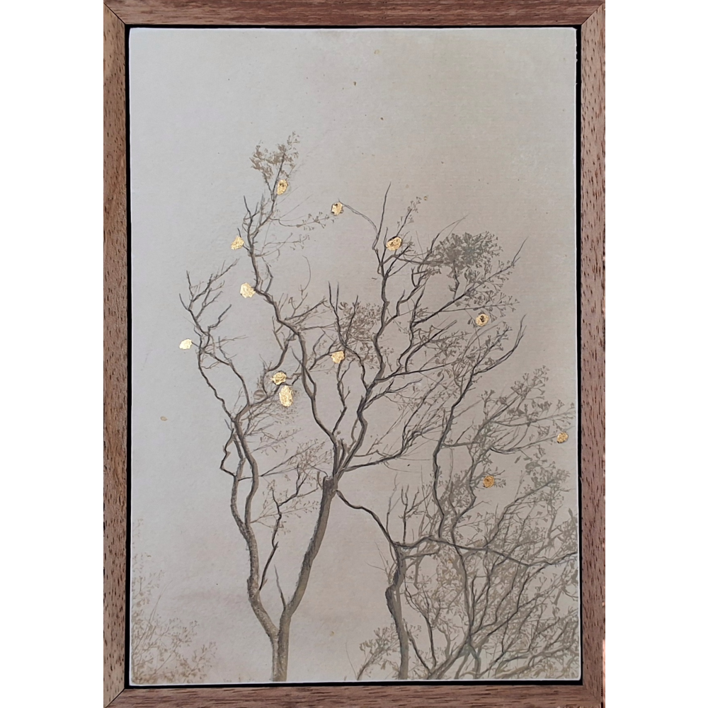 Seeds of Gold
