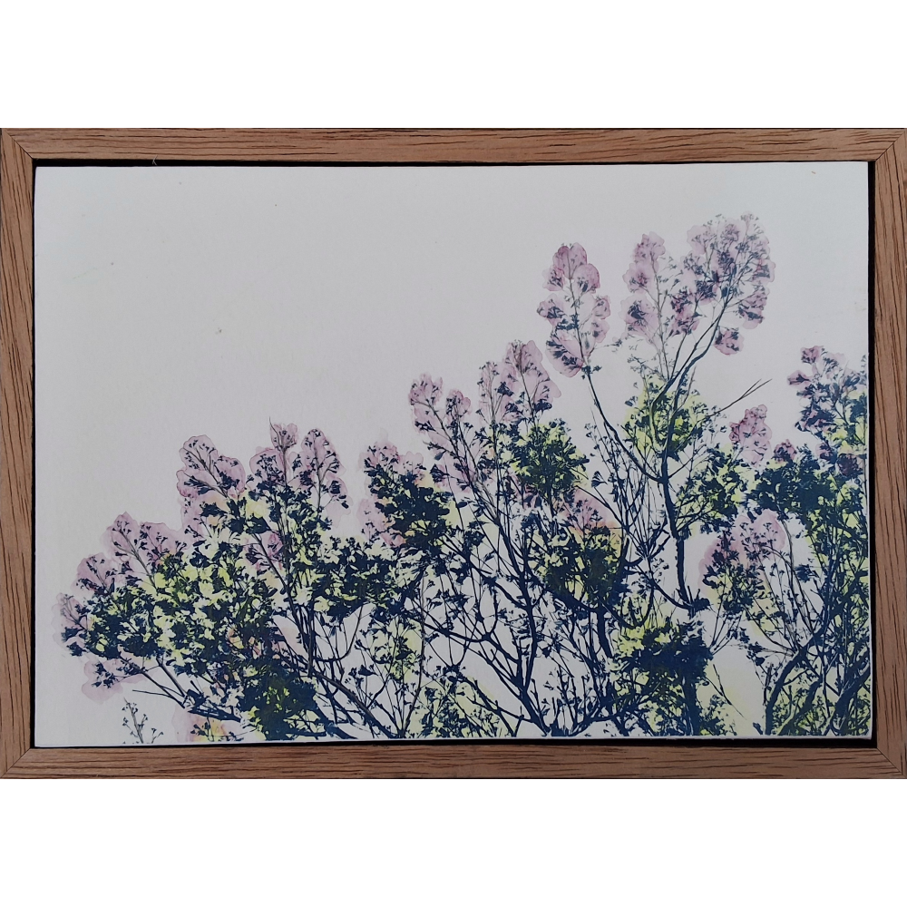 Jacaranda and Blue