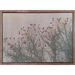 Bleeding Leaves