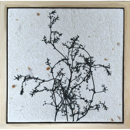 Seed Time and Harvest Shall Not Cease 45