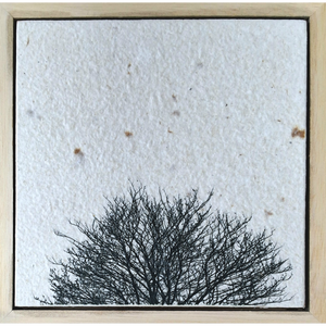 Seed Time and Harvest Shall Not Cease 46