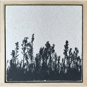 Seed Time and Harvest Shall Not Cease 47