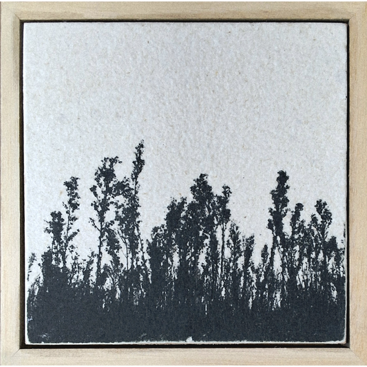 Seed Time and Harvest Shall Not Cease 47