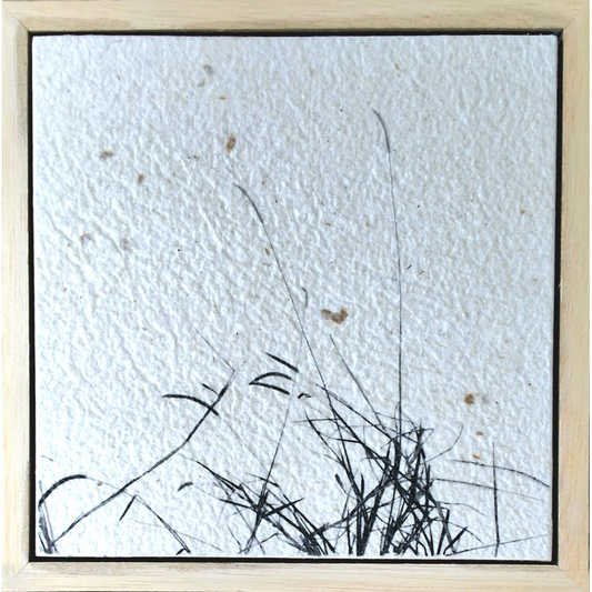 Seed Time and Harvest Shall Not Cease 48