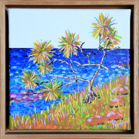 A Pandanus Tree with a View