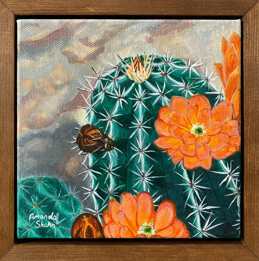 The Beauty In This World