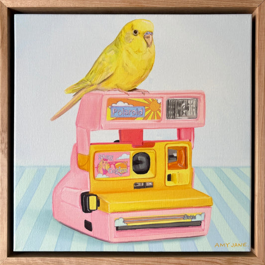 Budgie on Barbie Polaroid