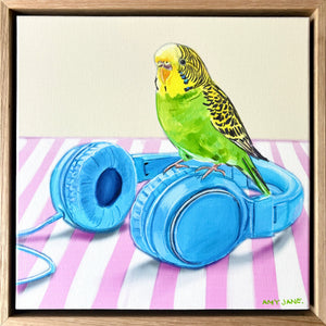Budgie on Headphones