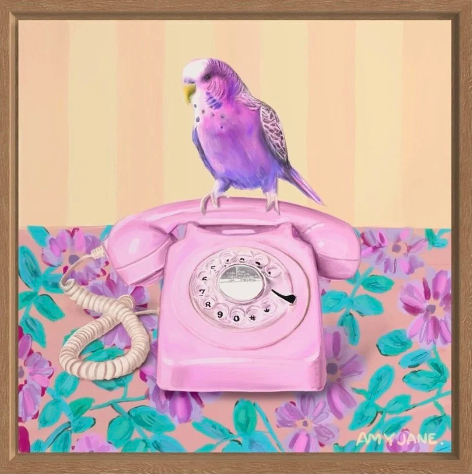 Budgie on the Blower