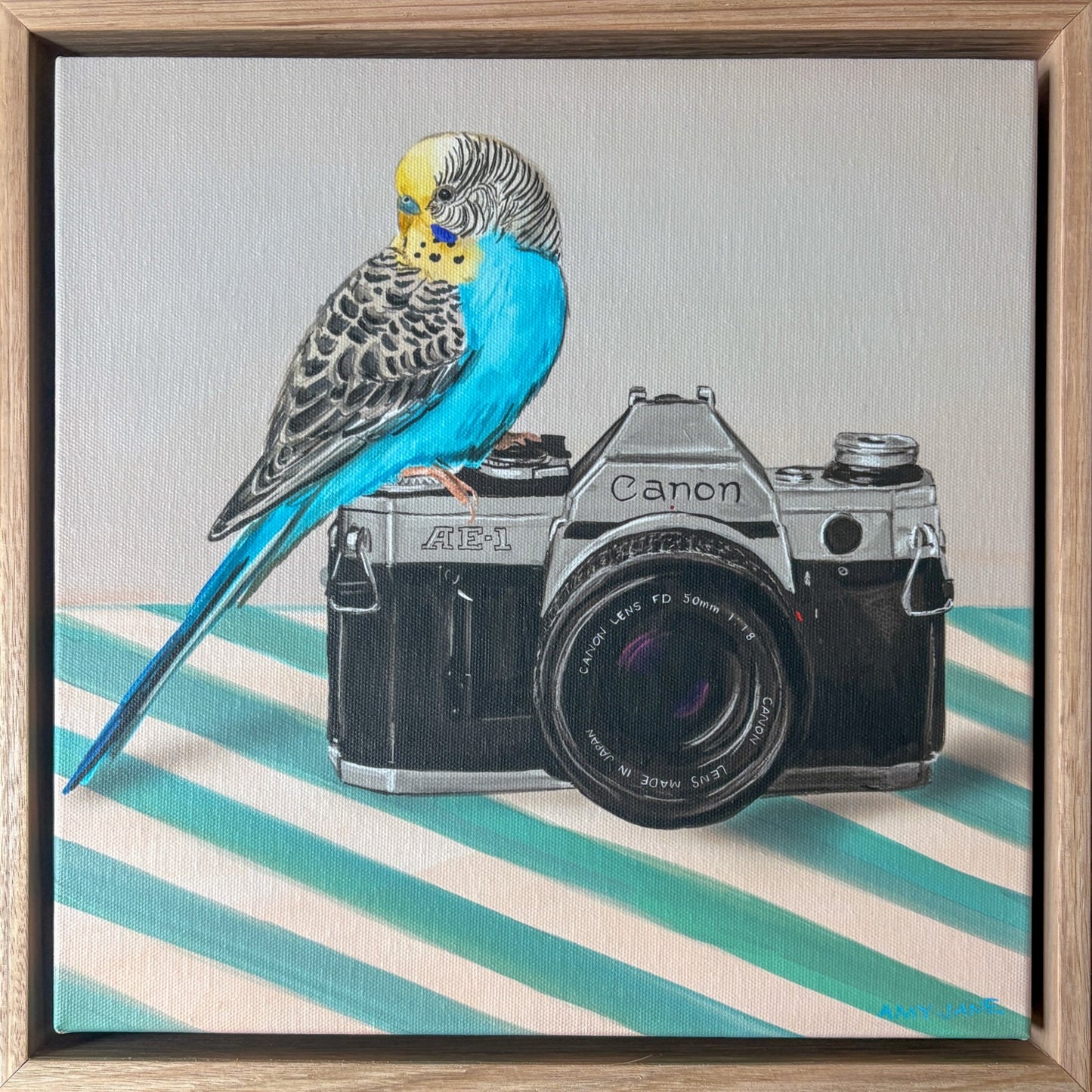 Camera Budgie