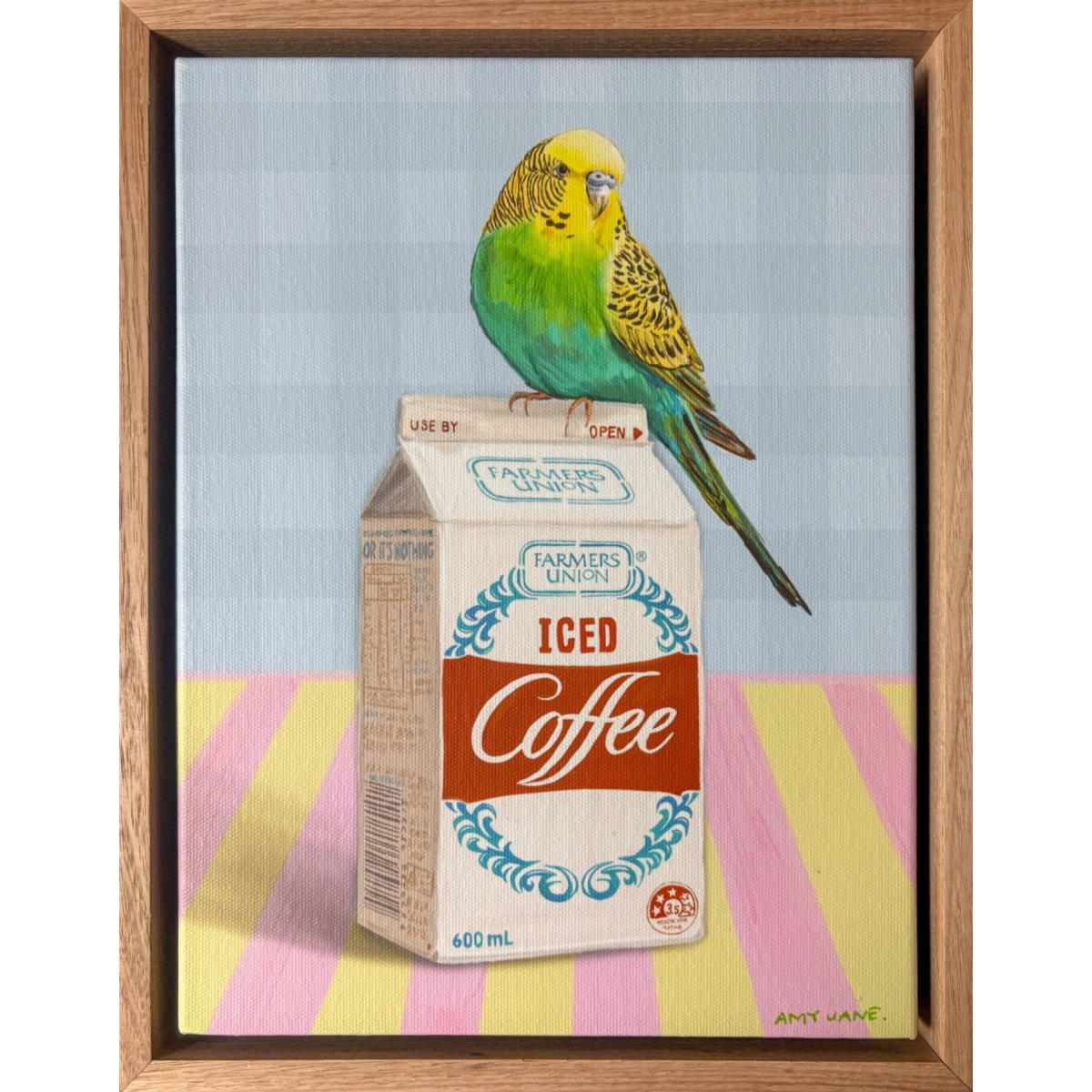 Iced Coffee Budgie