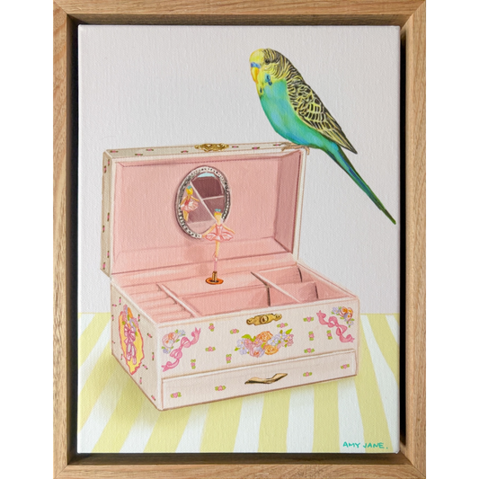 Jewellery Box Budgie