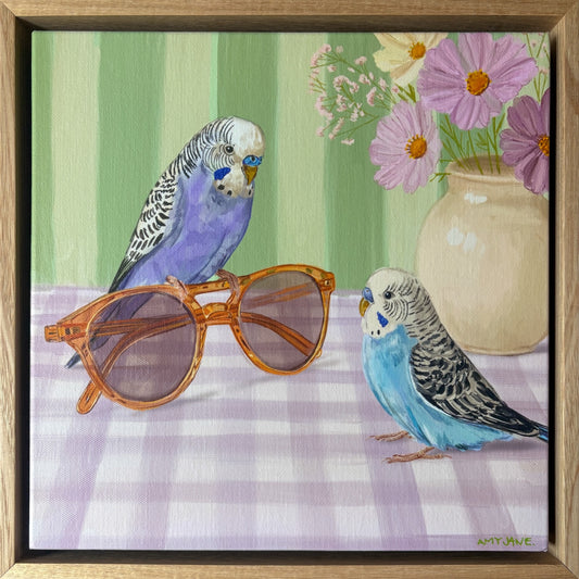 Sunglasses Budgies