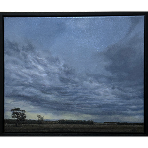 Evening Light in August