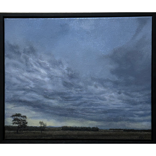 Evening Light in August