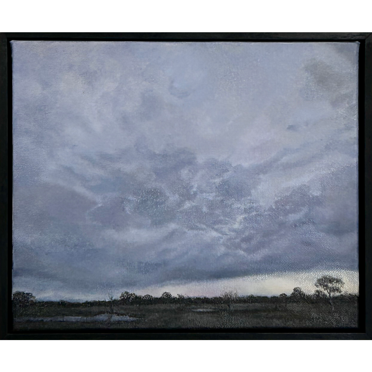 Evening light in winter