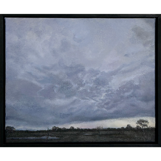 Evening light in winter