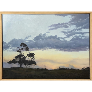 Sun Fall