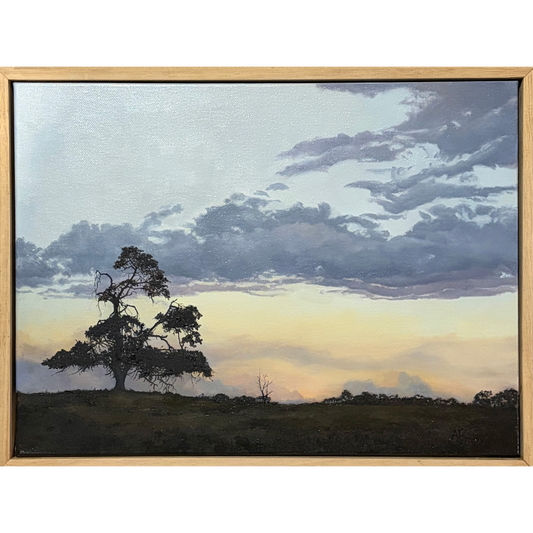 Sun Fall