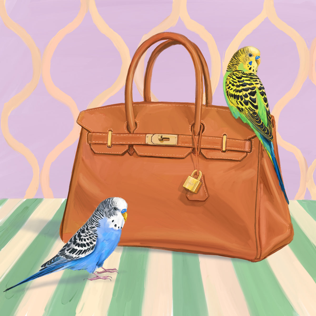 Birkin budgies