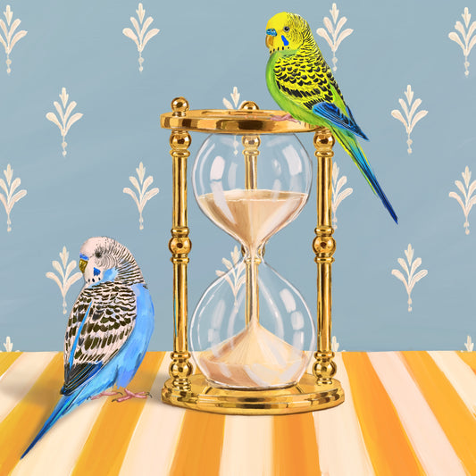 Hourglass budgies