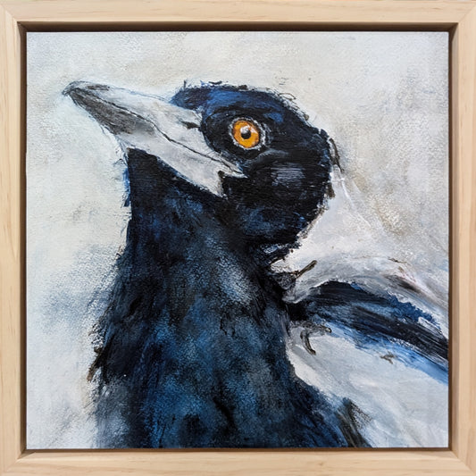 For the Love of Magpies