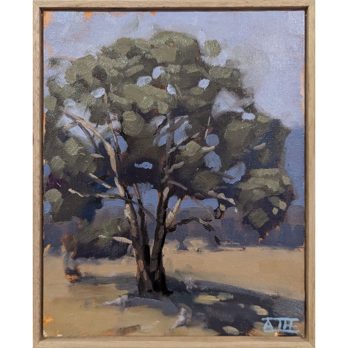 Gumtree Picnic (Megalong Valley)