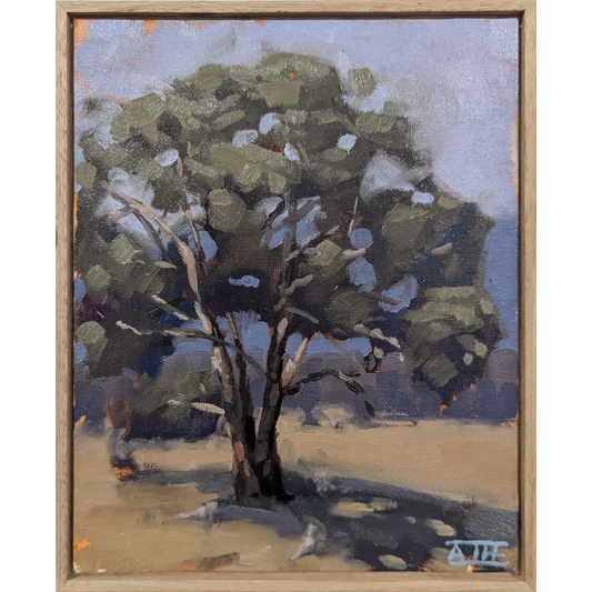 Gumtree Picnic (Megalong Valley)