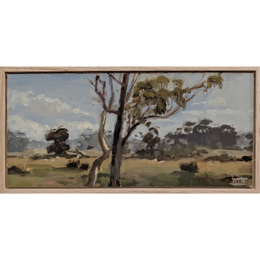 Rural Stroll, Just Around the Corner (Leopold)