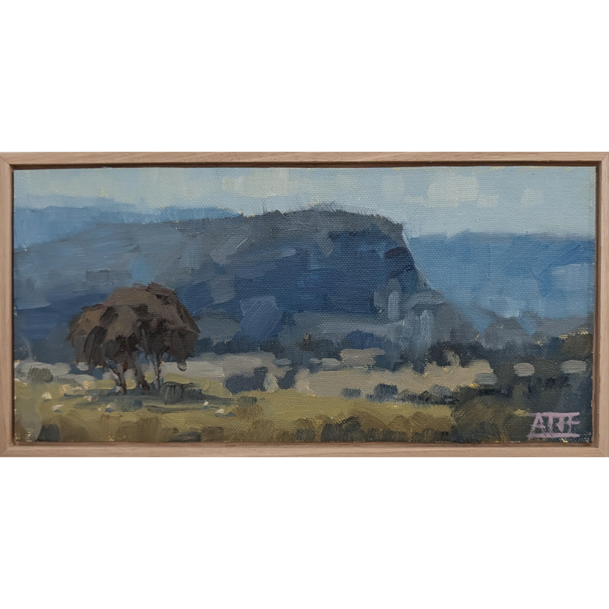 Feeling Blue, Megalong Valley (Sketch for)