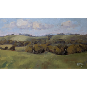 Soaring To the Dog Rocks (Batesford)