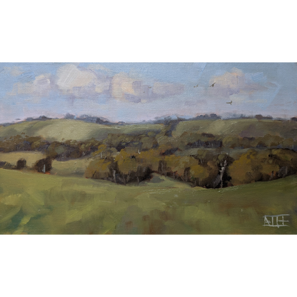 Soaring To the Dog Rocks (Batesford)