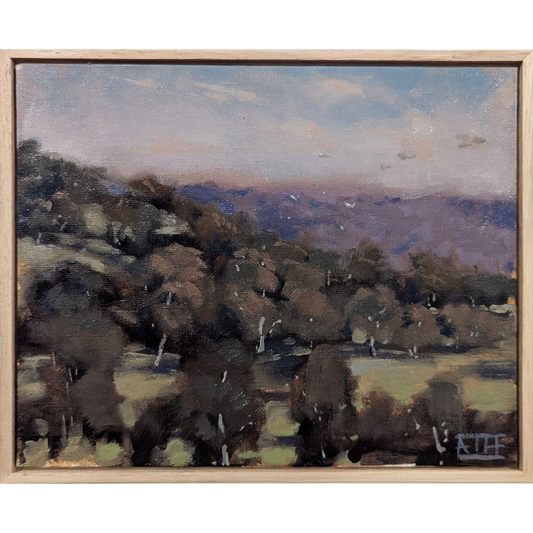 Summer Flight (Apollo Bay)