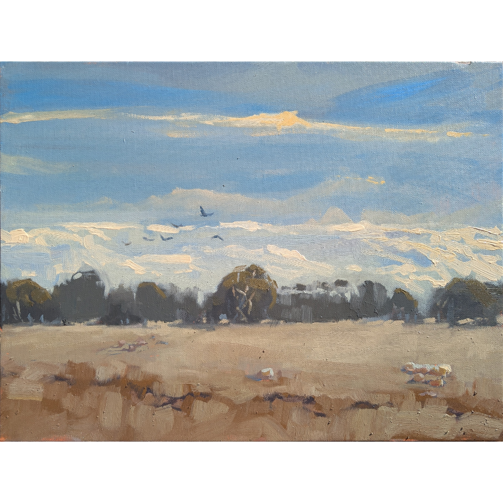 Winds, Streaks and Grazing (Leopold)
