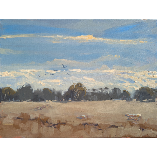Winds, Streaks and Grazing (Leopold)