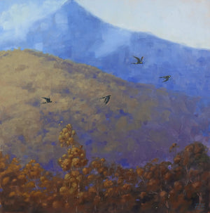 Gazing Skyward (Mount Bogong)