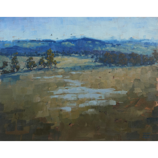 Morning Echoes (Yarra Valley)