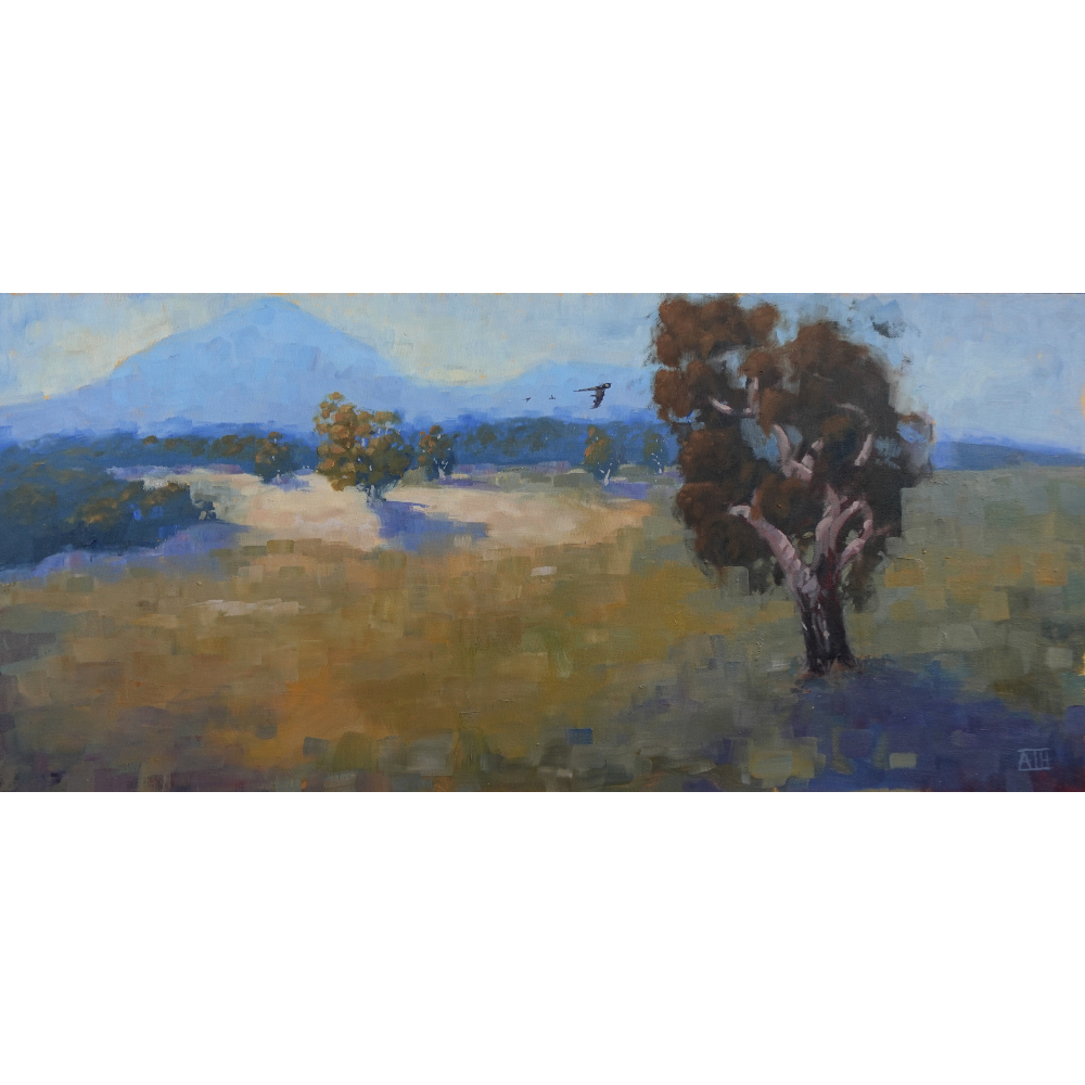 The Lonely Mountain (You Yangs)