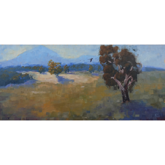 The Lonely Mountain (You Yangs)