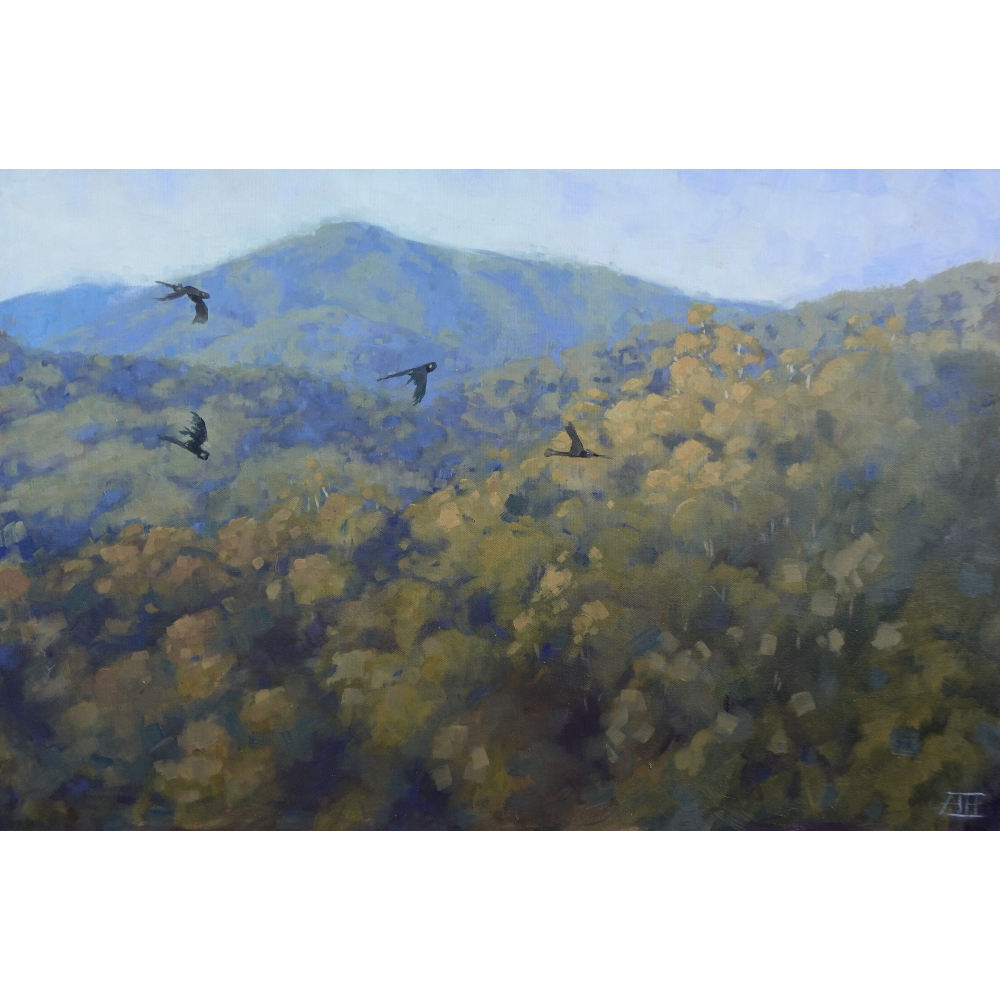 To Soar Over The Mountains (Bogong)