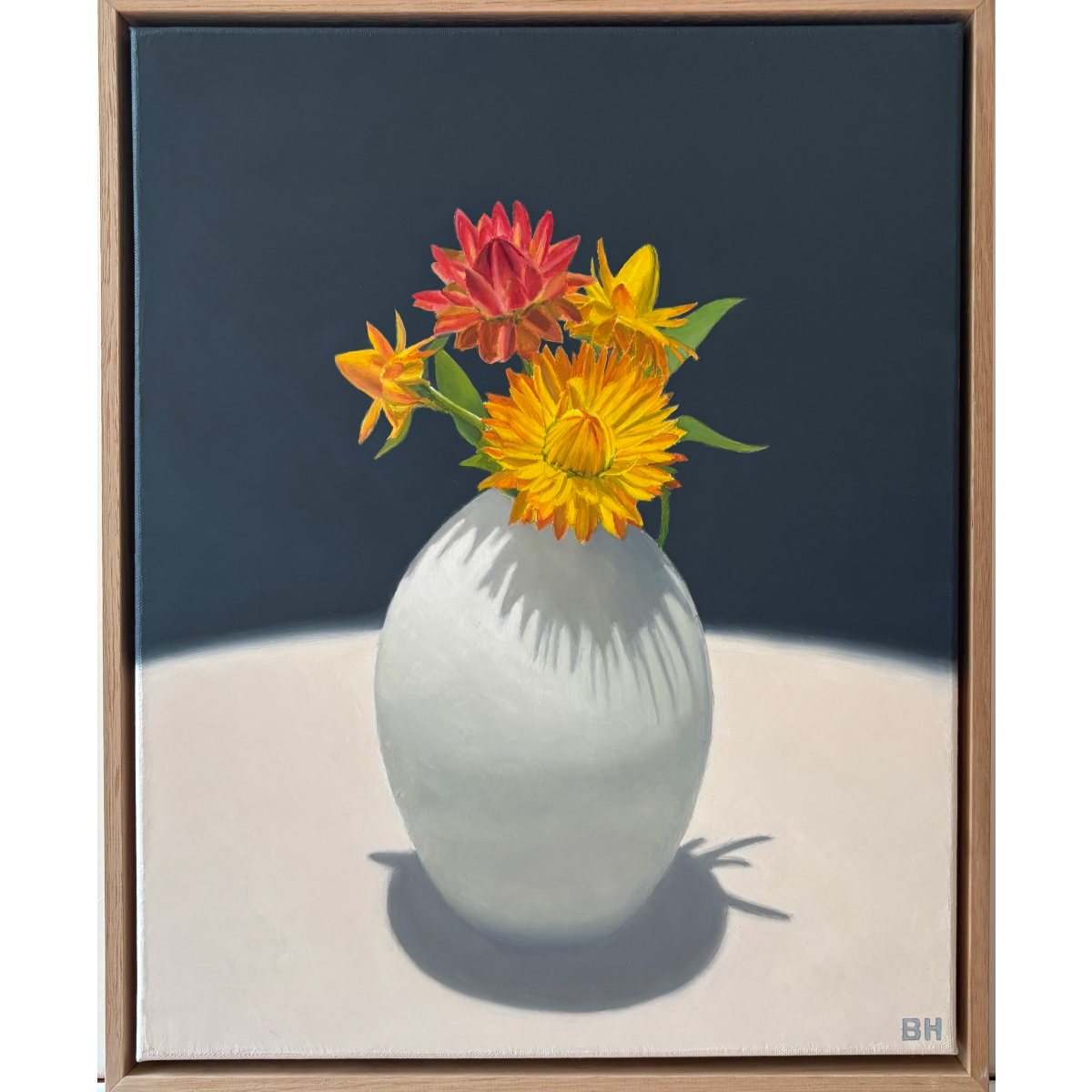 Red and yellow strawflowers